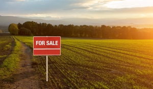 Tips for Selling Your Land Quickly Tips for Selling Your Land Quickly